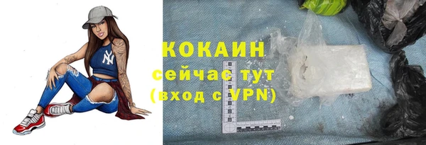 ALPHA PVP Костерёво