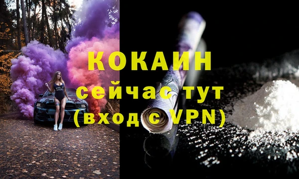 соль ск Коряжма