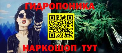 эйфоретик Гусь-Хрустальный