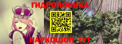 эйфоретик Гусь-Хрустальный