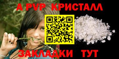 амф Гусев